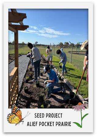 SEED Project Alief Pocket Prairie
